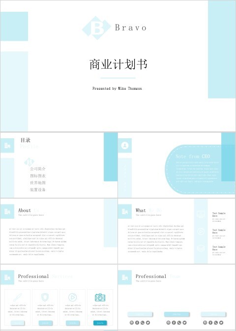 蓝色简洁大气通用商业计划书