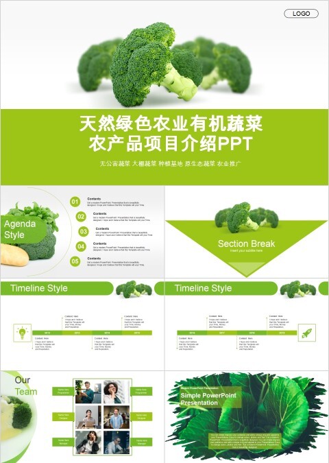 天然绿色农业有机蔬菜农产品项目介绍PPT