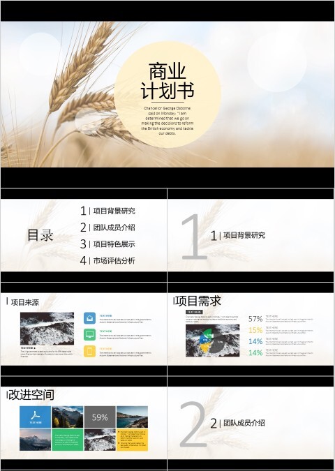 水晶纹路极简商业计划书PPT模板