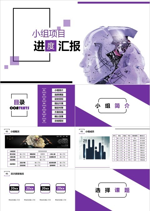 小组项目进度汇报阶段性报告