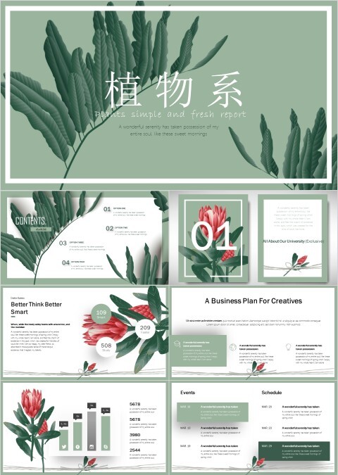 植物系文艺范工作总结PPT 