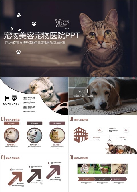 宠物美容宠物医院PPT