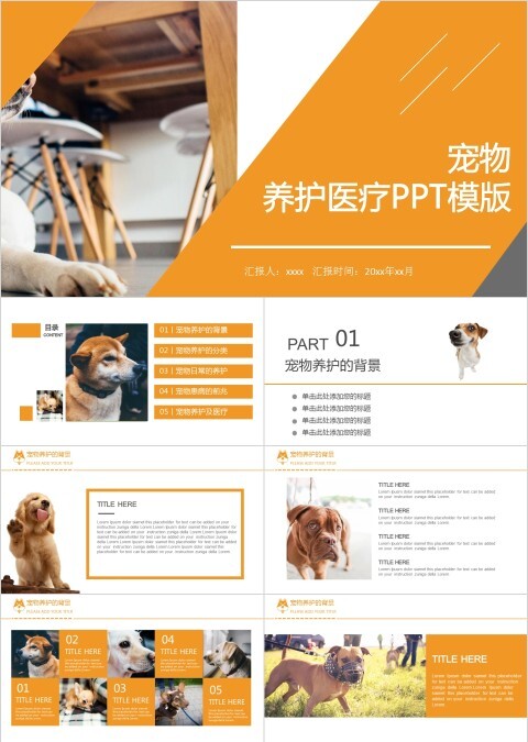 宠物背景宠物养护医疗PPT模版
