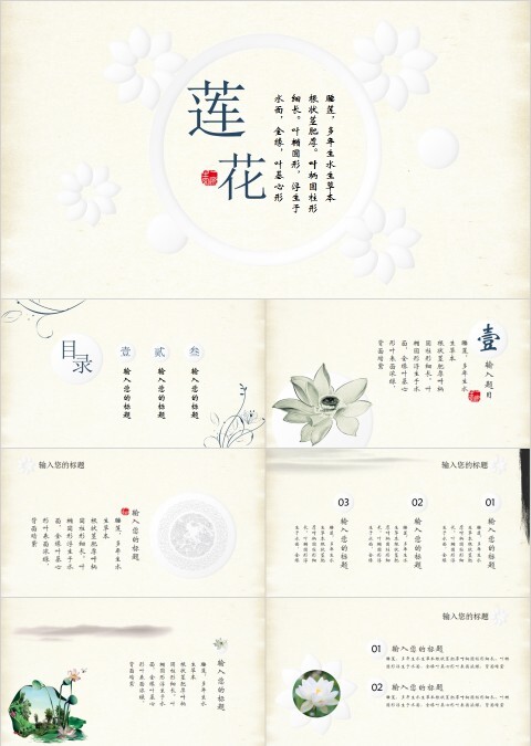 清新莲花教育培训PPT