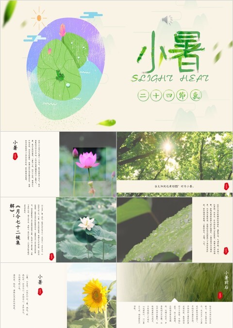 莲花夏至小暑节气通用PPT