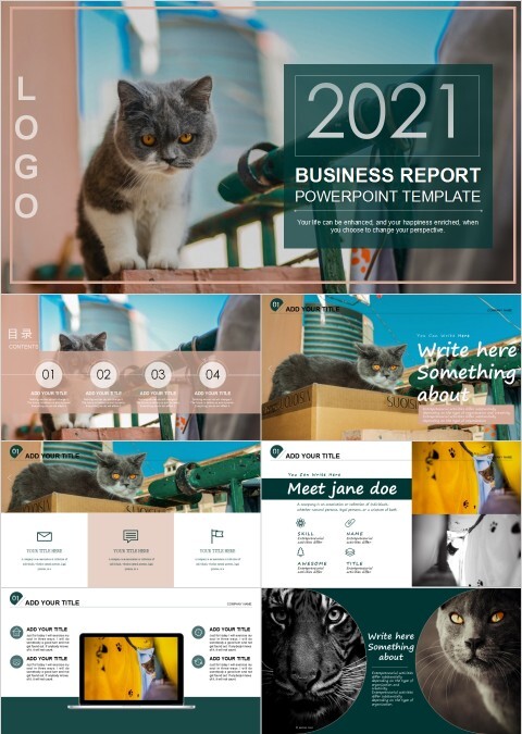 萌宠宠物行业PPT模板   