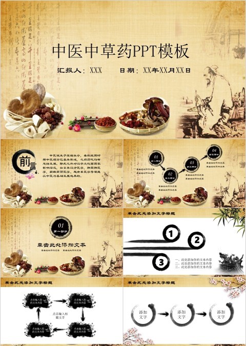 中医中草药PPT模板