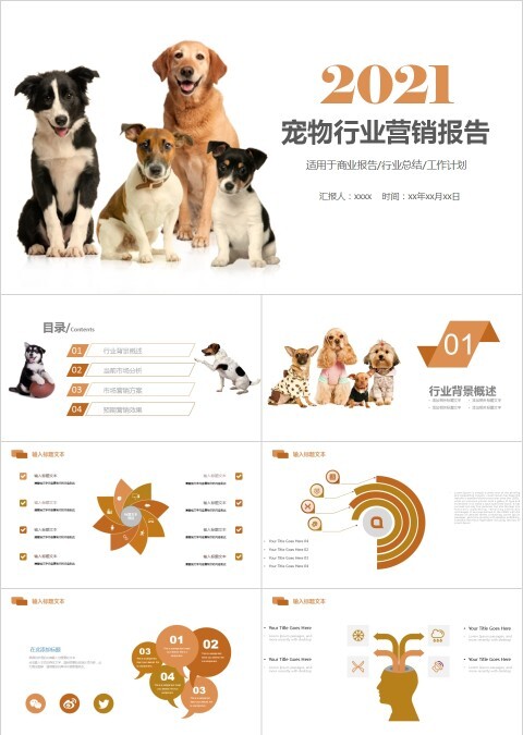 宠物行业营销报告PPT模板