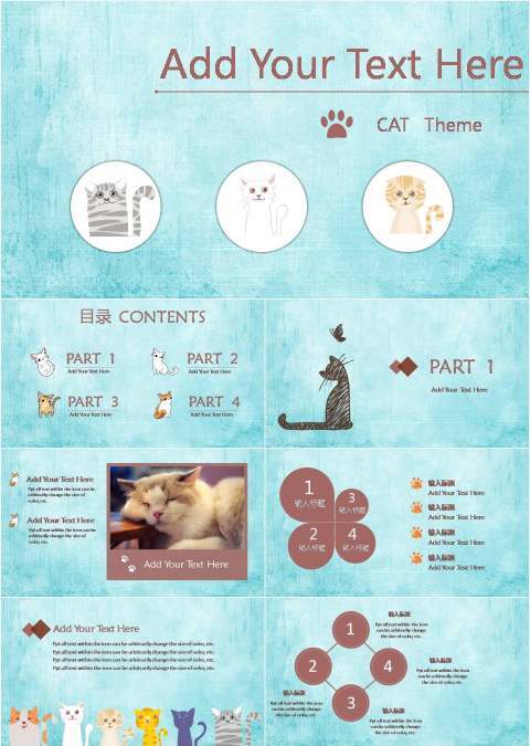 宠物可爱俏皮趣味卡通幼儿课件猫咪