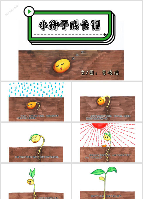小种子成长记