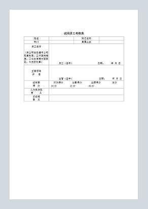 试用员工考核表