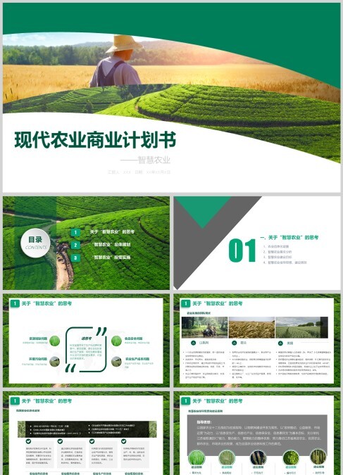 现代农业商业计划书
