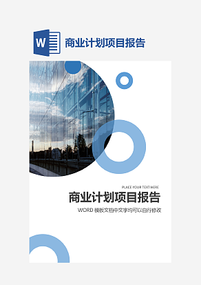 商业计划项目报告