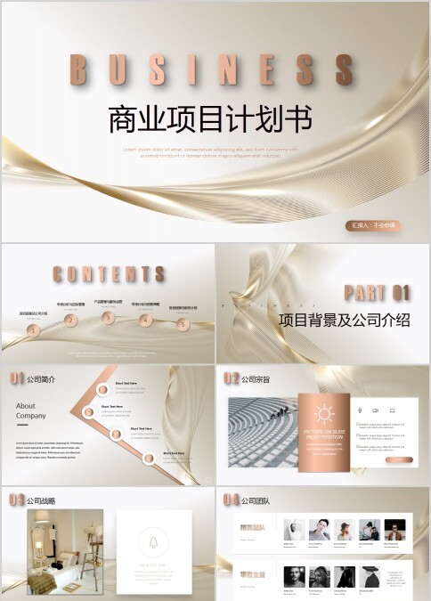高端商务专业级商业项目计划书PPT金色线条公司简介工作总结规划融资方案